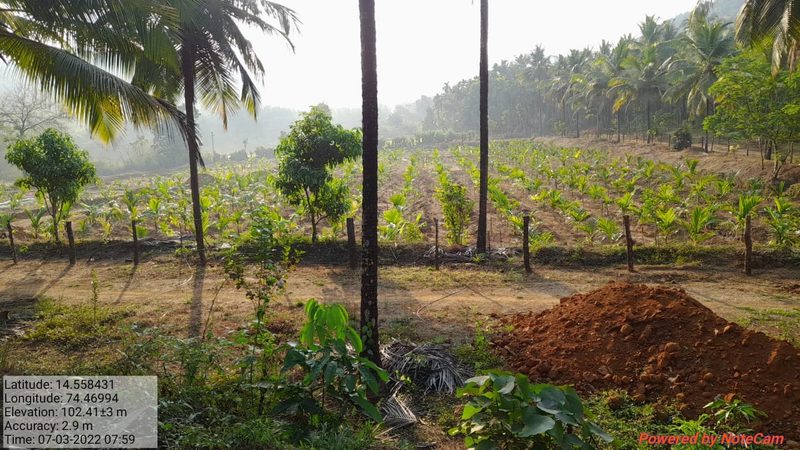 Chandira Nature Stay