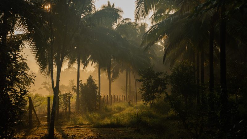 Chandira Nature Stay