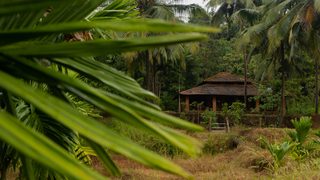 Cottages