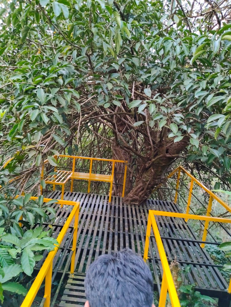 Arunodaya Homestay