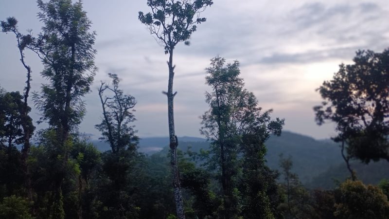 Arunodaya Homestay
