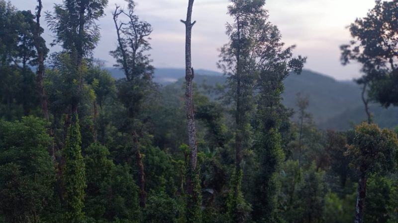 Estate View Room — 3 of 5