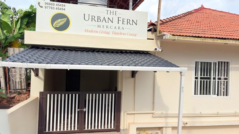 Urban Fern Mercara