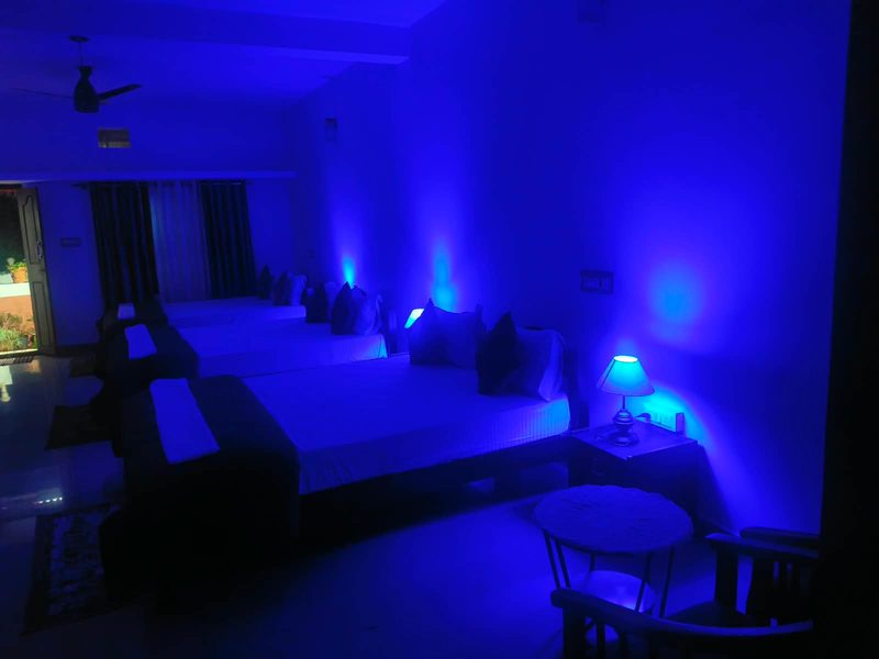 Green Nest Dormitory Rooms — 3 of 5