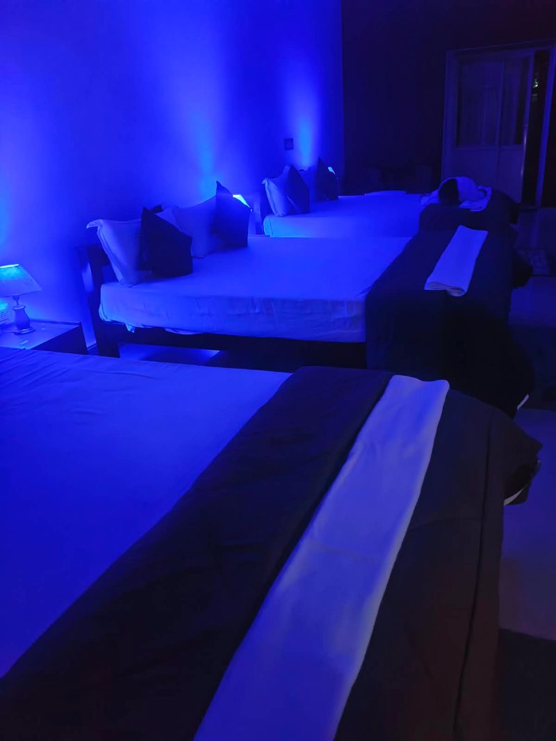 Green Nest Dormitory Rooms — 4 of 5